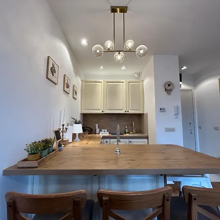 Mount Rustik Apartment Zlatibor